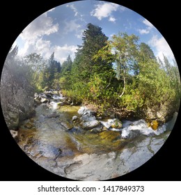 Circular Fish Eye Photo Of River And Forest