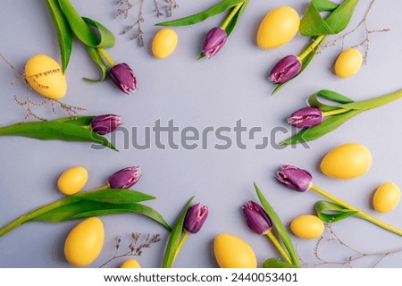 Circular layout with yellow Easter eggs, purple tulip flowers on pastel lilac background. Top view, flat lay, copy space