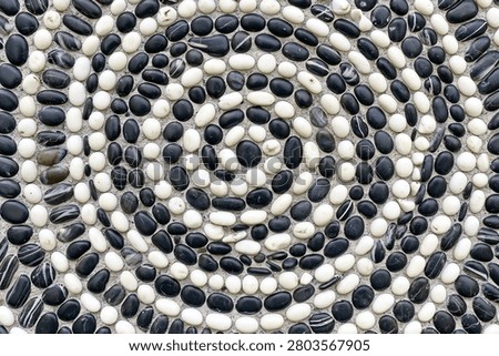 Circular mosaic paving pattern composed of smooth black and white river stones