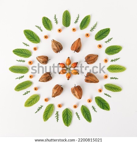Circular ornament made of leaves, berries and dry fruits. Natural floral mandala on white background. Seasonal card