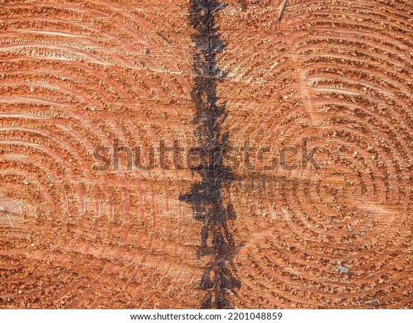 Circular patterns converging in tree rings\
of sawn log with black dividing center\
line.