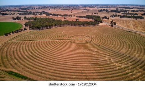 Circular patterns in paddock from pivot irrigator