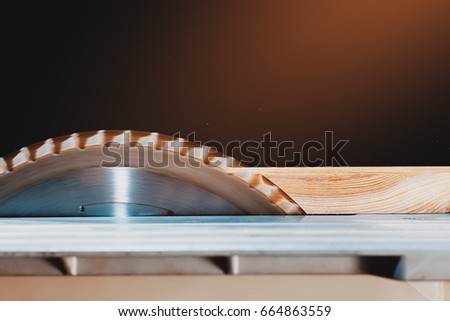 Circular saw. Carpentry.