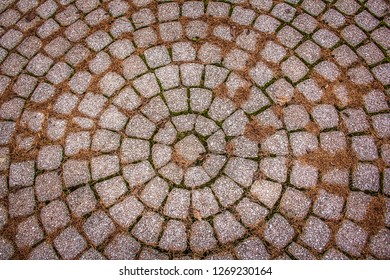 Circular Stone Path In Highland Park Rochester, New York