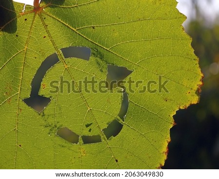 Circular system symbol on a green vine leaf. Recycling, sync and sustainability sign for sharing, reusing, repairing, refurbishing and recycling existing resources. 