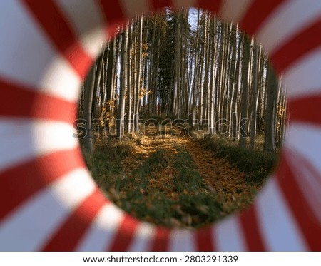 A circular vignette of a forest path is superimposed on a red and white sunburst background, creating a surreal visual effect.