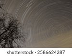 Circumpolar Star Trails, Feb. 16, 2025, 24mm cine lens at T-8, 52 exposures 150 seconds each, ISO 400, WB 5200.