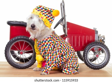 Circus Clown Dog With Circus Car