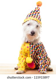 3,328 Clown dog Images, Stock Photos & Vectors | Shutterstock