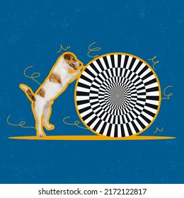 Circus Performance. Contemporary Art Collage. Cute Dog With Huge Circle With Optical Illusion Pattern, Design. Concept Of Creativity, Art, Imagination, Animal