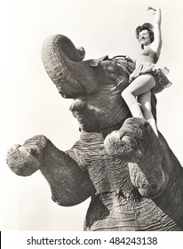 Circus performer posing on elephant