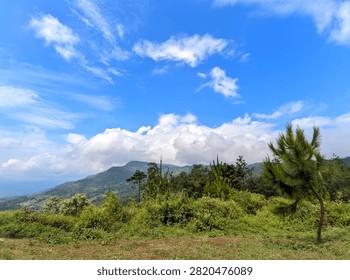 Cirebon, West Java Indonesia - July 31 2026: Expansive highland landscape featuring rolling green mountains, dense tropical vegetation, and tall pine trees under a brilliant blue sky dotted with fluffy white clouds. Distant hills stretch toward the horizon, showcasing lush natural scenery, mountainous terrain, and vibrant highland greenery in the area.