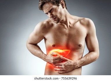 Liver 图片、库存照片和矢量图 Shutterstock