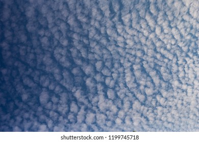 Cirrocumulus Cloud Blue Sky