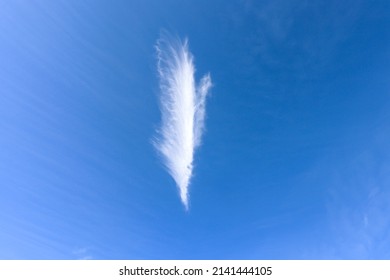 Cirrus cloud against the blue sky close up
