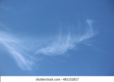 Cirrus Clouds