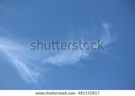 Cirrus Clouds