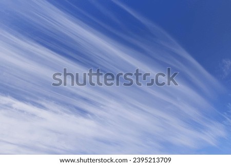 cirrus clouds in the blue sky, beautiful long cirrus clouds in the sky
