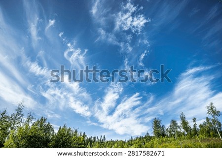 Cirrus clouds in front of the blue sky