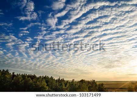 Cirrus clouds over the forest at sunset.