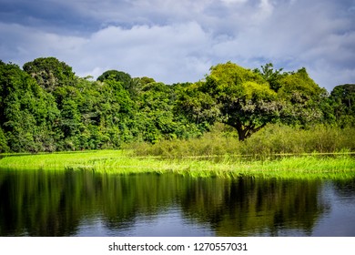 Novo Airão Amazonas fonte: image.shutterstock.com