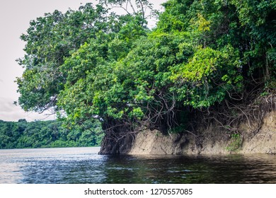 Novo Airão Amazonas fonte: image.shutterstock.com