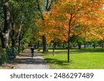 Citizen jogging in La Fontaine Park during the autumn foliage season. Montreal, Quebec, Canada.