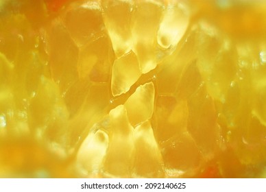 Citric Cogs Texture Close Up