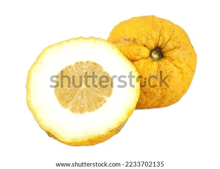 Citron fruit cut in two halves on white background. Its scientific name is Citrus medica.