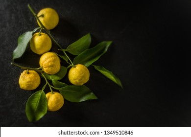 Citron Fruit Japanese 