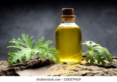 Citronella Geranium Aroma Oil