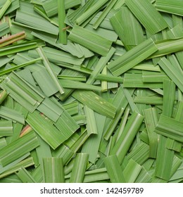 Citronella Grass Leaves Background