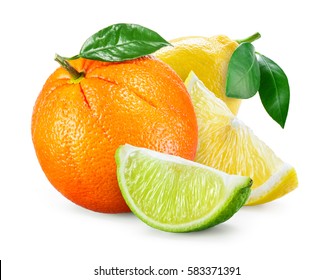 Citrus Fruit. Composition with leaves isolated on white background. Orange, lemon, lime.