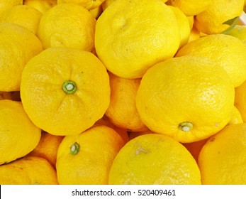 Citrus Junos Fruits