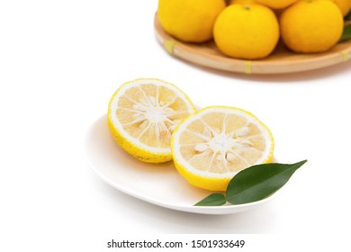 Citrus Junos On White Background