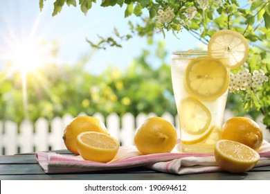 Citrus Lemonade In Garden Setting,summer Drink.