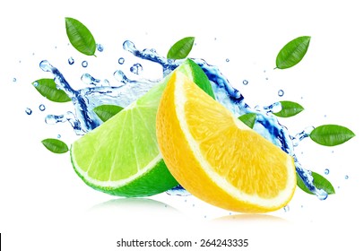 Citrus Splash