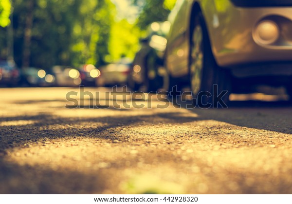 City alley with trees on a sunny day, cars\
are parked on the road. View from the asphalt level from the wheel\
of the car, image in the yellow\
toning