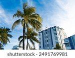 City architecture in summer. Architecture of modern building with USA flag. City modern building of Florida. Architectural building in Miami south beach. Palm tree on the street