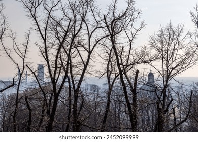 The city of Brescia awakens in the soft haze of spring, with the iconic Duomo dome emerging amidst leafless trees, blending the natural with the urban in a serene tableau - Powered by Shutterstock