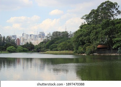 City Building Behind Beautiful Nature Stock Photo 1897470388 | Shutterstock