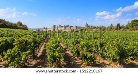 City of Carcassonne seen from the vineyard / France