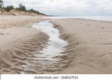 City Carnikava, Latvia. Walking place by the Baltic Sea with sand and trees.07.03.2020 - Shutterstock ID 1668167512