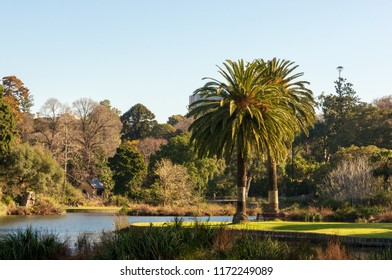 6,991 Melbourne Botanical Garden Images, Stock Photos & Vectors ...