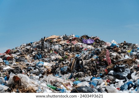 City landfill. A lot of garbage at the landfill.