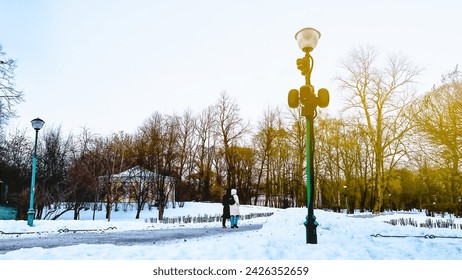 City landscape. Urban winter scene at snowy park. Street lamp post and bare trees. Background of winter nature with copy space. Film grain texture. Soft focus. Blur - Powered by Shutterstock