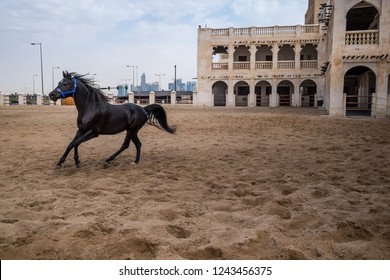 City Life At Souq Waqif Doha,qatar