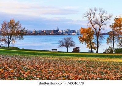 City of Madison downtown skyline with state capitol building dome from Olin city park across the Monona lake with autumn colored trees and fallen leaves on a green grass lawn on a foreground. 