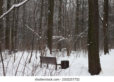 The city of Moscow winter 2022 Suvorov Park a series of pictures a place with benches - Shutterstock ID 2102257732