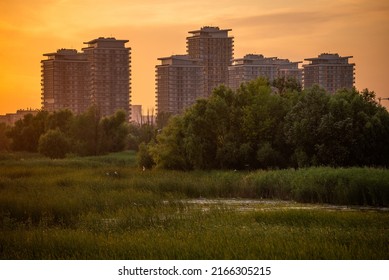 City Natural Park, Vacaresti, Sunset, Bloks. Located in Bucharest, Romania.